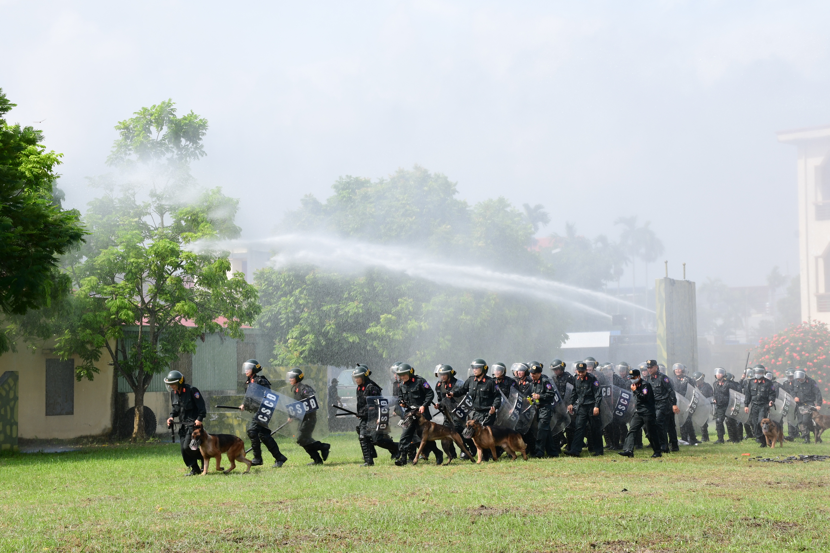 Cao điểm tấn công, trấn áp tội phạm: Phá 4 chuyên án ma túy, bắt 2 đối tượng truy nã